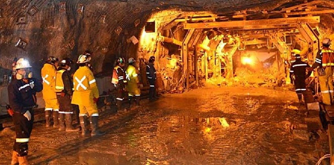 Longsor di Grasberg Block Cave Tekan Produksi Emas Freeport Hingga 75 Persen